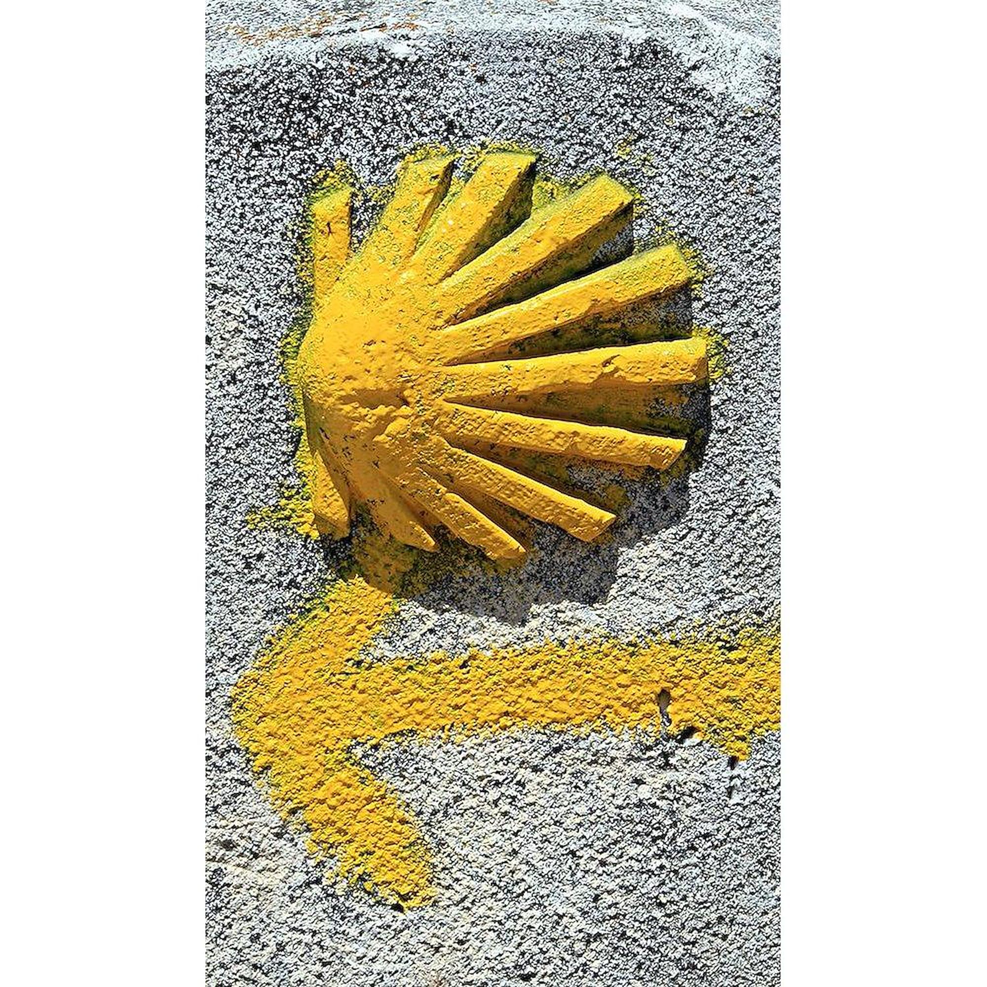 【サイン入り】climbgrow / EL-CAMINO Amazon.com: CafePress El Camino De Santiago De Compostela, Spain
